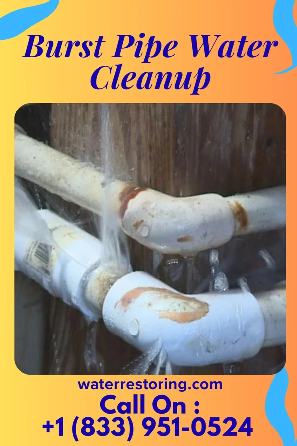 Burst Pipe Water Cleanup in Greensburg, PA