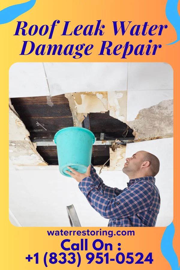 Roof Leak Water Damage Repair in Greensburg, PA