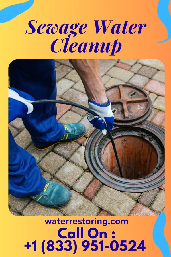 Sewage Water Cleanup in Greensburg, PA