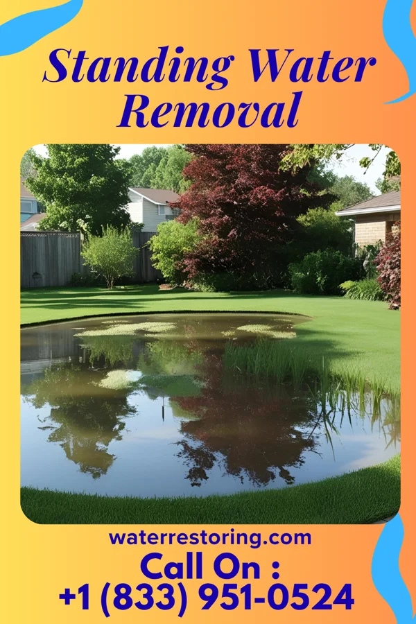 Standing Water Removal in Greensburg, PA